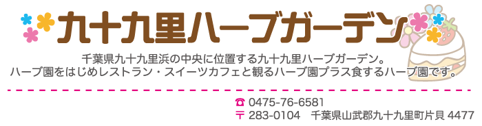 top.png